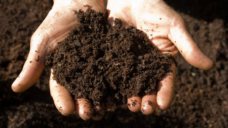 soil, compost, fertilizer