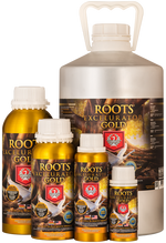 Roots Excelurator – Gold
