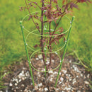 Foldable Plant Support Cage - Discount Indoor Gardening