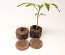Jiffy 7 Peat Pellet with Hole - Discount Indoor Gardening