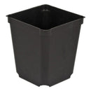 3.5" Square Black Injection Pot - Discount Indoor Gardening