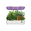 Home Series Aeroponics Hydroponics Herbs System - Discount Indoor Gardening