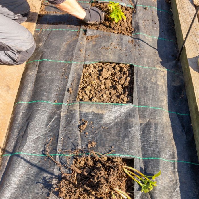 Ground Cover/Weed Barrier (100GSM Black Landscape Fabric UV-Resistant) - Discount Indoor Gardening