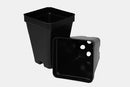 Square Plastic Pot - Discount Indoor Gardening