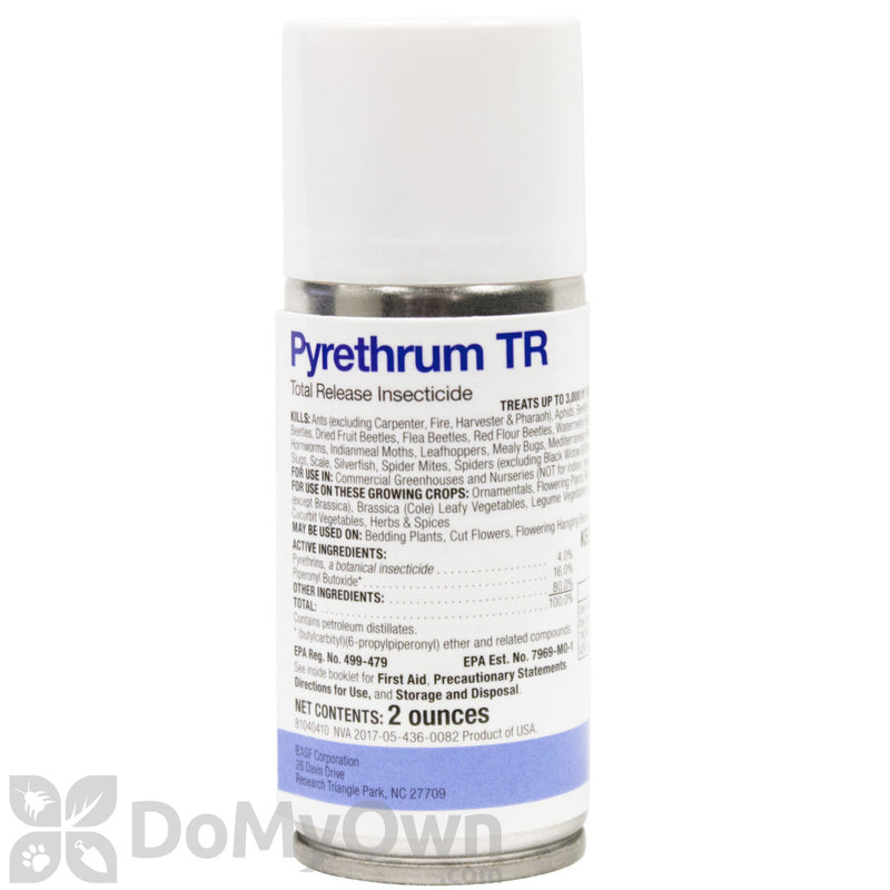 Pyrethrum TR - Discount Indoor Gardening