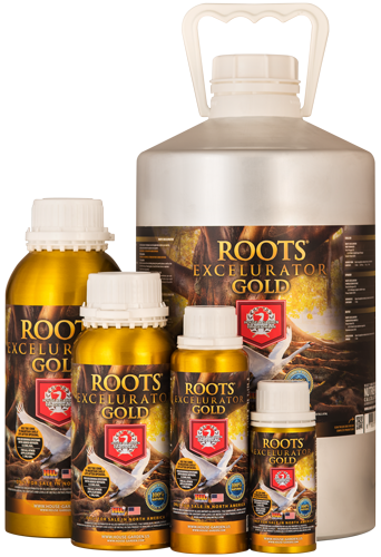 Roots Excelurator – Gold - Discount Indoor Gardening