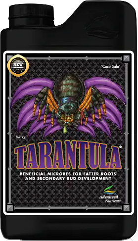 Tarantula - Discount Indoor Gardening