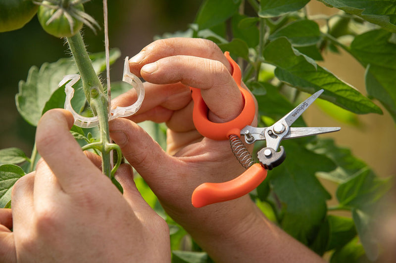 pruning shears for indoor plants Saboten Shears– Discount Indoor Gardening