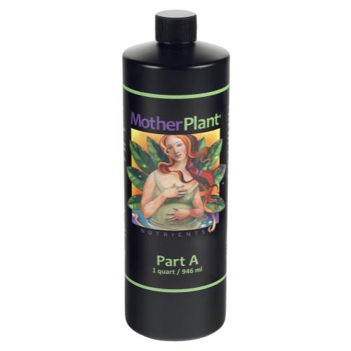 Mother Plant A - Discount Indoor Gardening