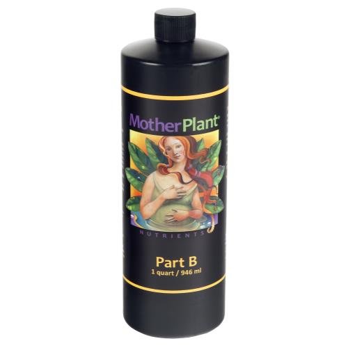 Mother Plant B - Discount Indoor Gardening