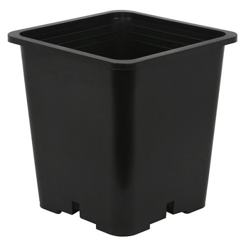 Premium Square Black Plastic Pots - Discount Indoor Gardening